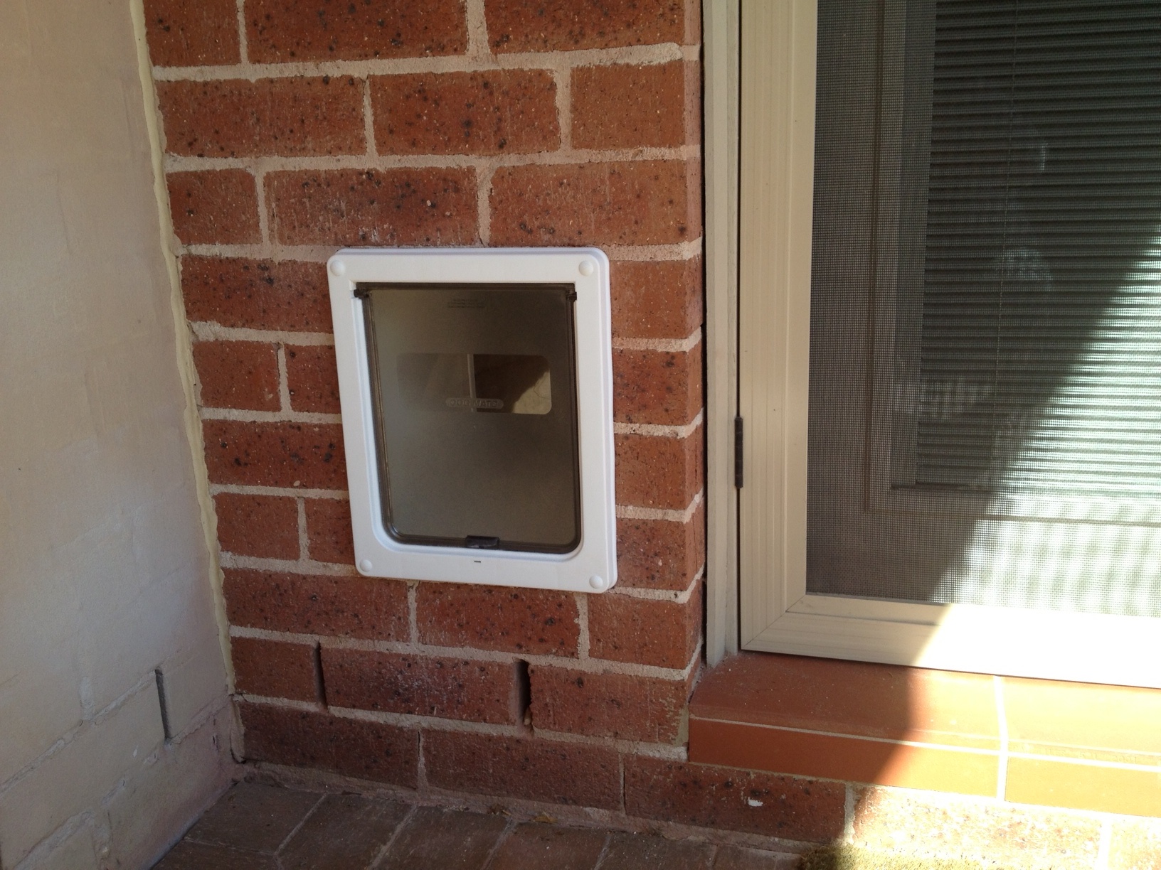 extra large dog door for wall