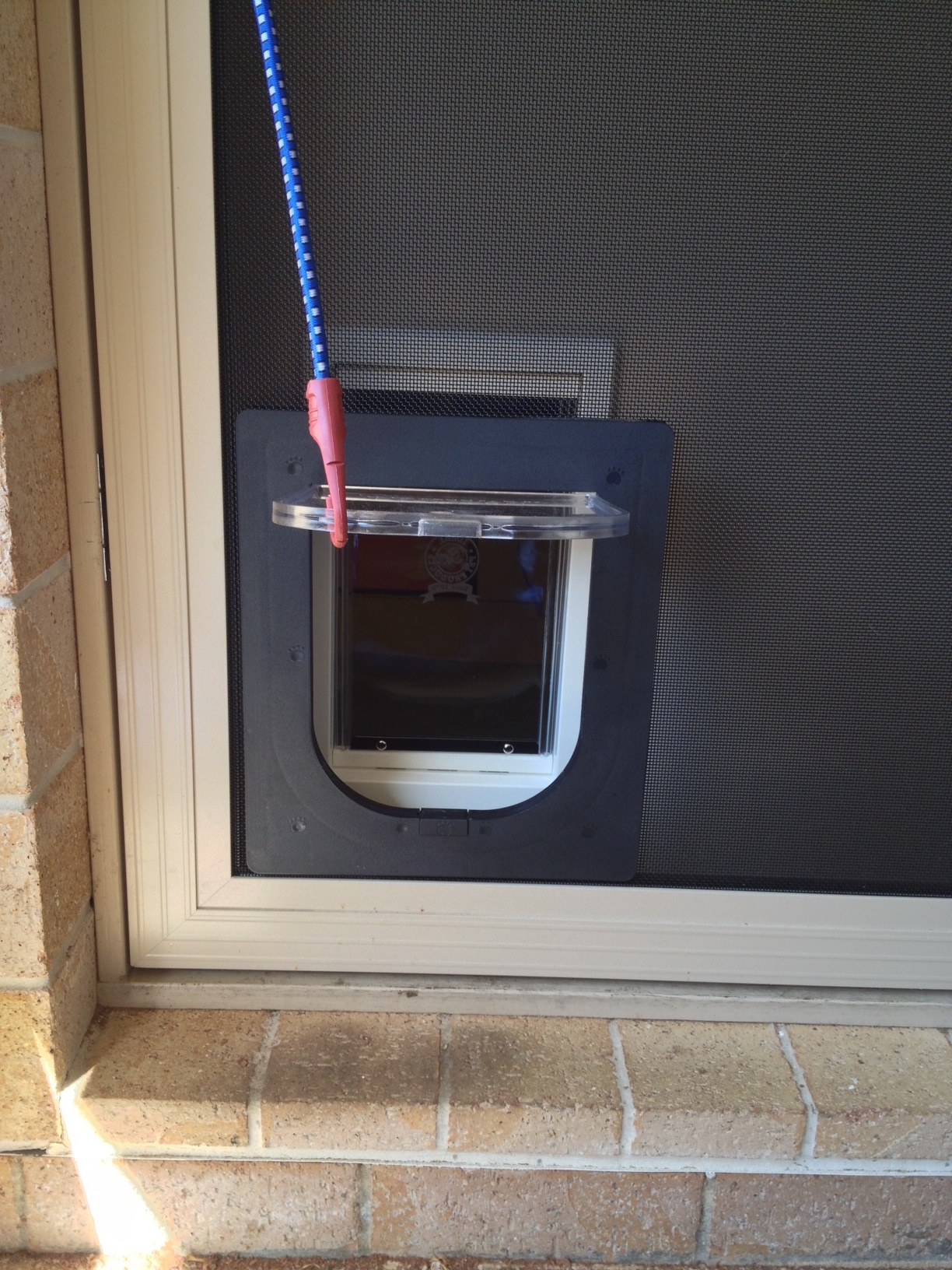Pet Doors Perth Dog Walking Through A Pet Door Installed By Professional Glass In Perth