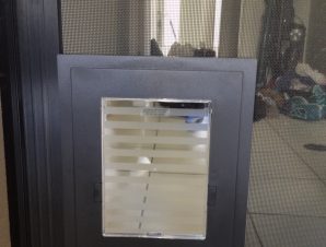 Dog door clearance installation gold coast