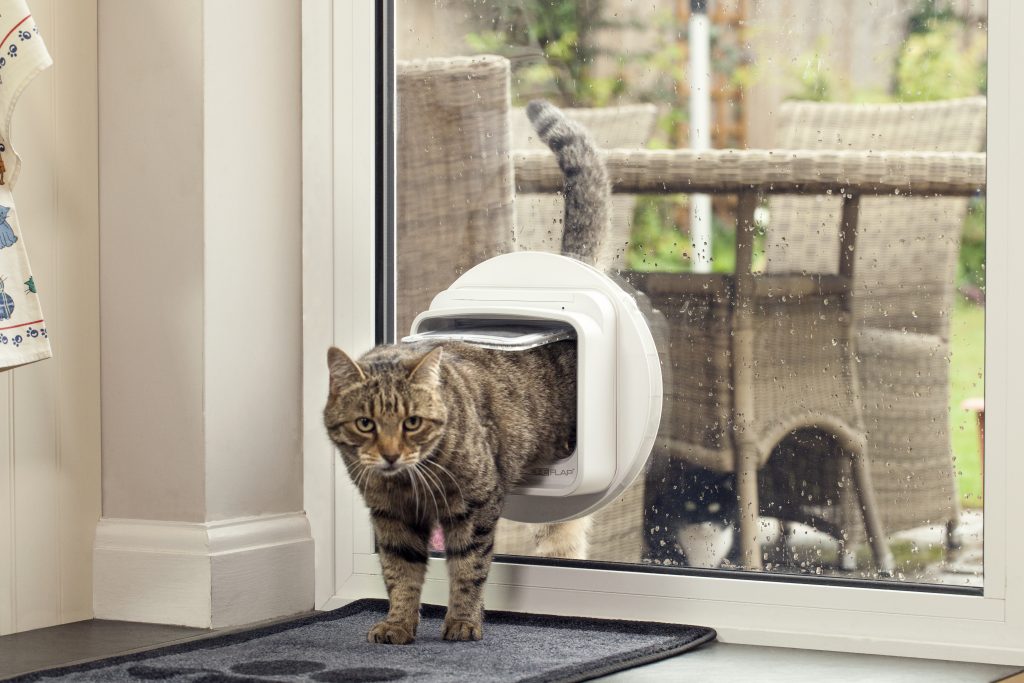 Glaztec store cat door