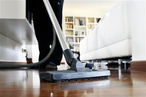 vacuuming pet hair wooden floor