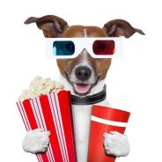 Family Movie Night: The Secret Life of Pets (Coming Soon!)