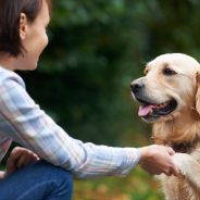 5 Tips to Being the Best Pet Owner You Can Be