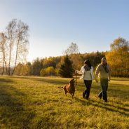 The Most Unusual Dog Breeds