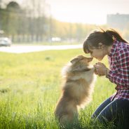 Tricks & Treats: How to Train Your Dogs to Do the Basics