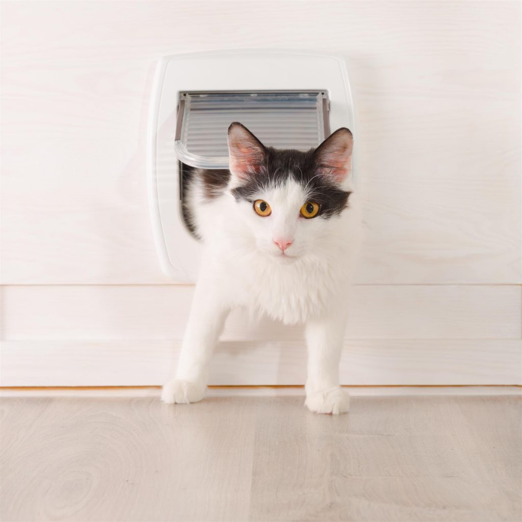 Dog door that clearance keeps other animals out