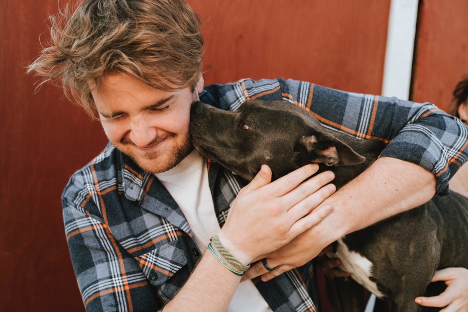 man hugging american pit bull terrier puppy