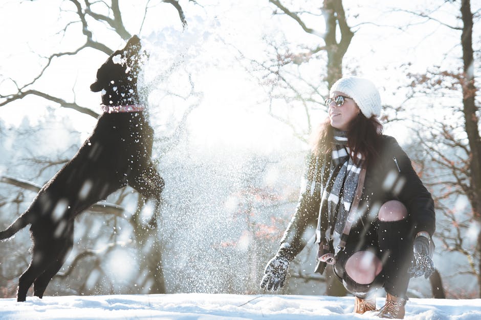 young woman playing with dog in winter