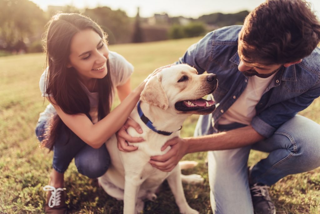 beautiful couple having fun with their dog