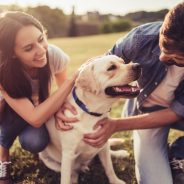 5 Reasons to Get Outdoors with Your Dog