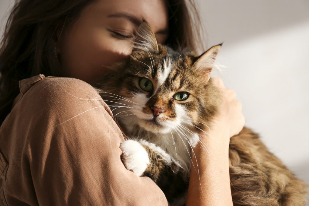 young woman hugging her cute long hair kitty