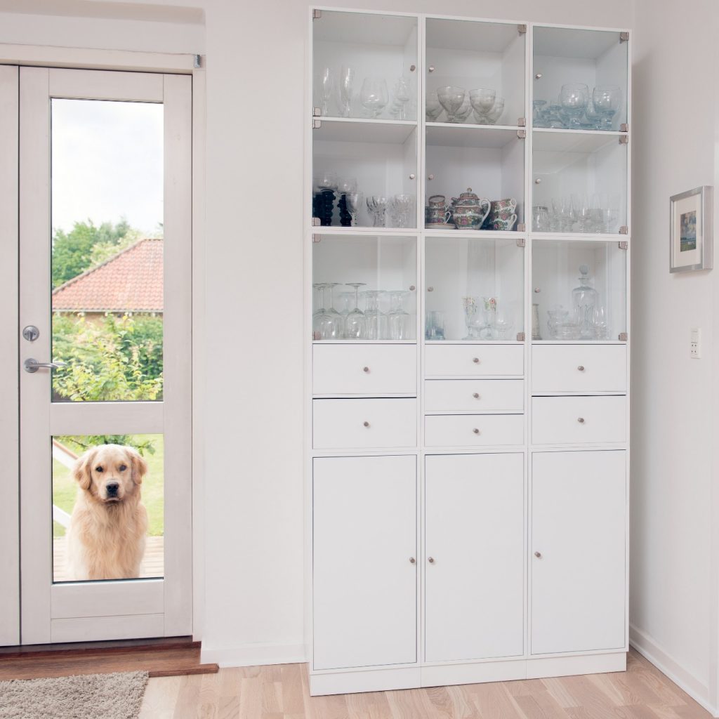 exterior backdoor with dog doors