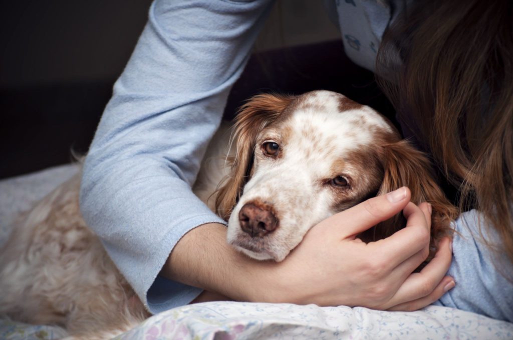 The girl cares about a sick dog